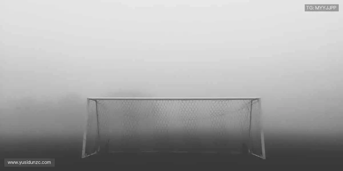 从现场到屏幕,从尖叫到欢呼!🌍🎥 我们始终与你的热爱同频共振!